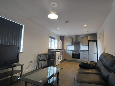 Flat 10 B2 WRC Lounge Kitchen